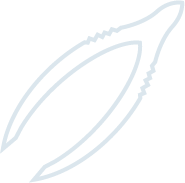 tweezers symbol